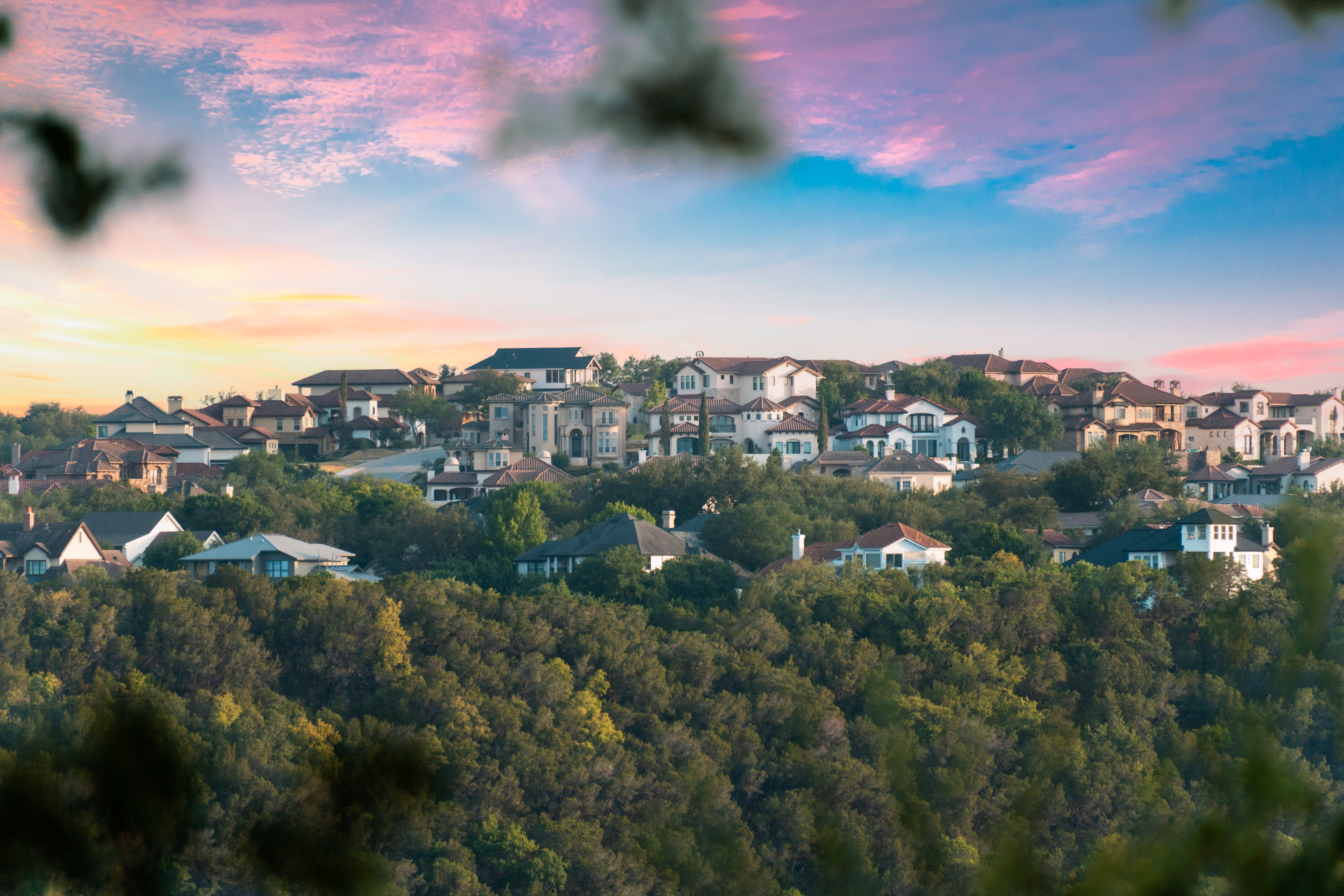 Banner image of Cypress