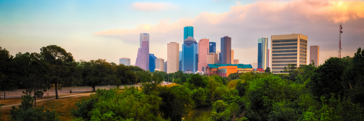 Banner image of Champions