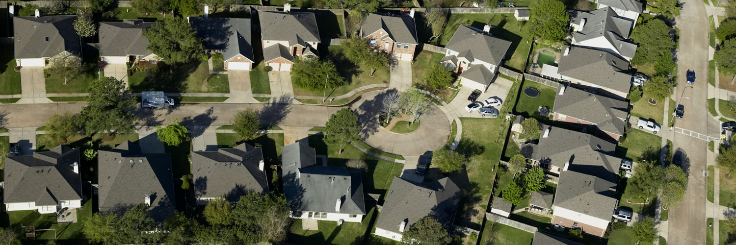 Banner image of The Woodlands